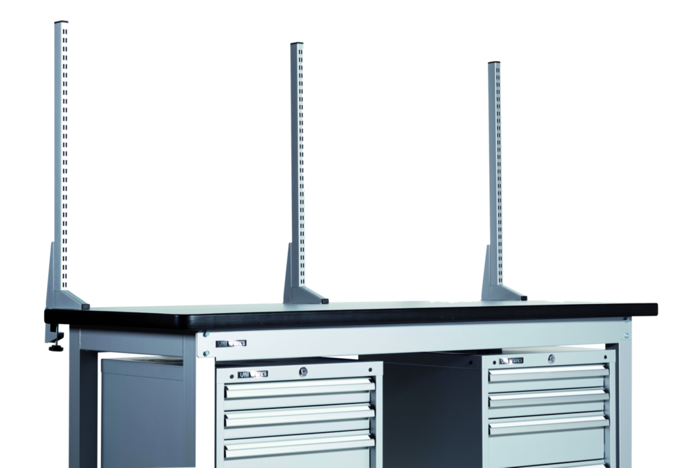 Rückwandpfosten-Set Widmer, H= 825 mm