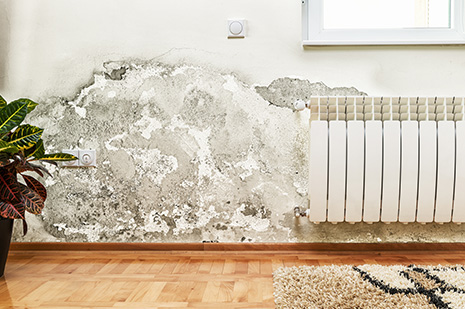 Schimmel in der Wohnung? Luftentfeuchter für die Vorbeugung und Bekämpfung Schimmel in der Wohnung? Luftentfeuchter für die Vorbeugung und Bekämpfung