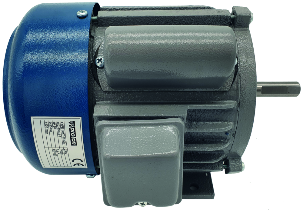 Motor Proton 230V