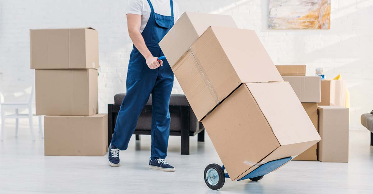 Transportwagen: Gegenstände in Lager, Werkstatt & Büro sicher transportieren Transportwagen: Gegenstände in Lager, Werkstatt & Büro sicher transportieren