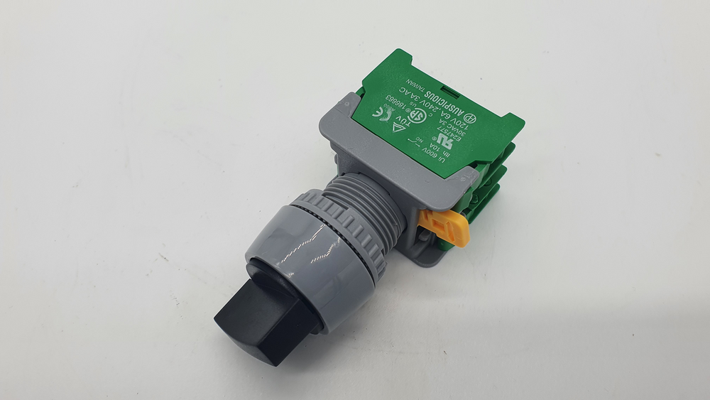 Pumpenschalter Proton zu BMS-3018T, BMS-30VT