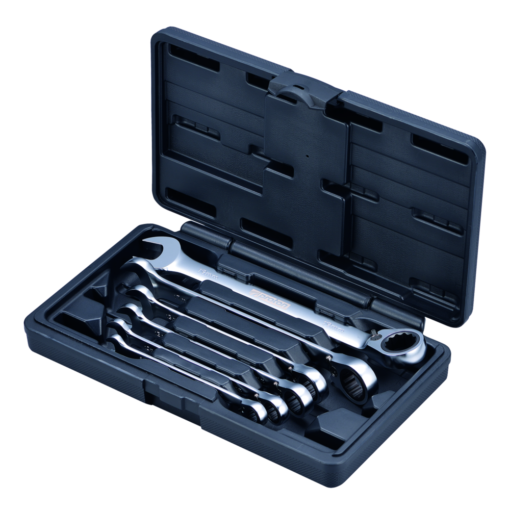 Ringgabel Ratschenschlüssel Satz Proton RS-6C 6-teilig