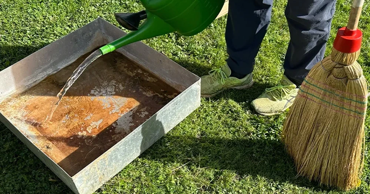 Kleintierstall richtig reinigen