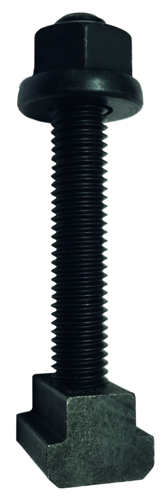 T-Nutenstein Proton NW12