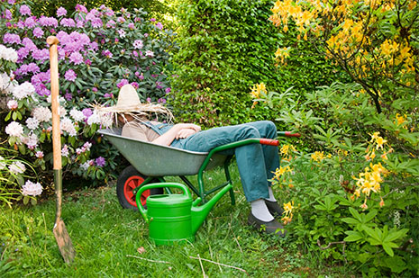 Effiziente Gartenarbeit ohne Kabelsalat: Akku-Gartengeräte im Fokus Effiziente Gartenarbeit ohne Kabelsalat: Akku-Gartengeräte im Fokus