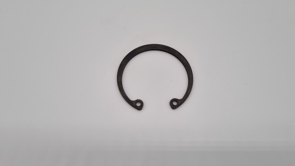 Sicherungsring Proton zu BMS-42VT