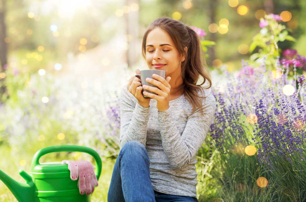 Mit 5 einfachen Tipps zum grünen Daumen Mit 5 einfachen Tipps zum grünen Daumen